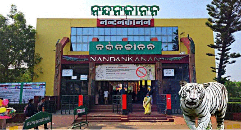 Nandankanan Zoological Park: A Wildlife Haven in Odisha